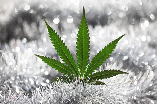 5 Great Stocking Stuffers for Stoners: Holiday Gift Ideas for the Pothead in Your Life